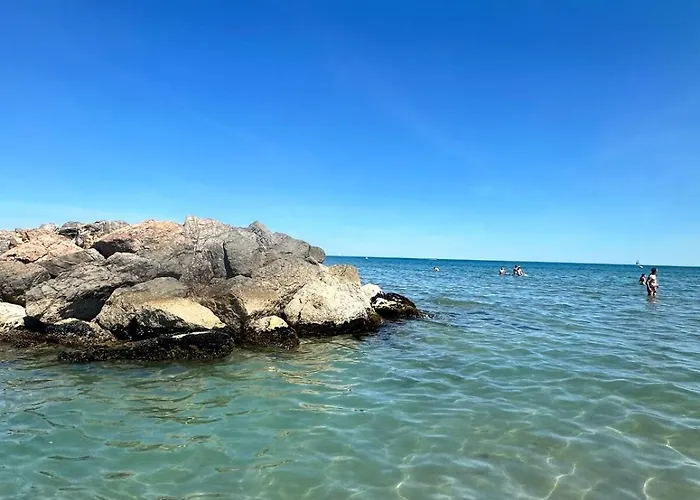 Barozig フロンティニャン